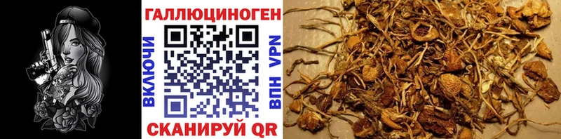 Псилоцибиновые грибы Magic Shrooms  Кудымкар 
